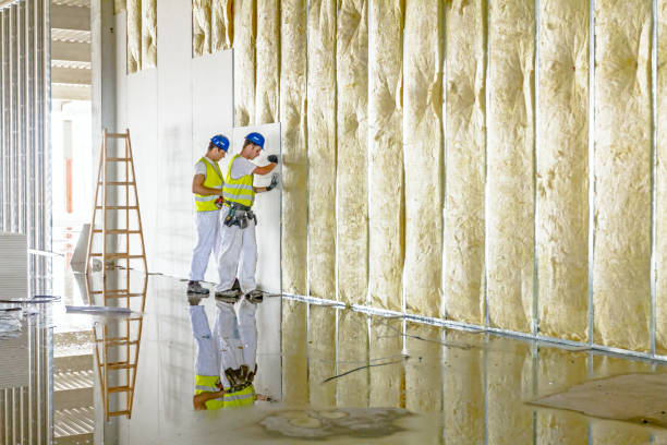 Best Basement Insulation  in Fyffe, AL